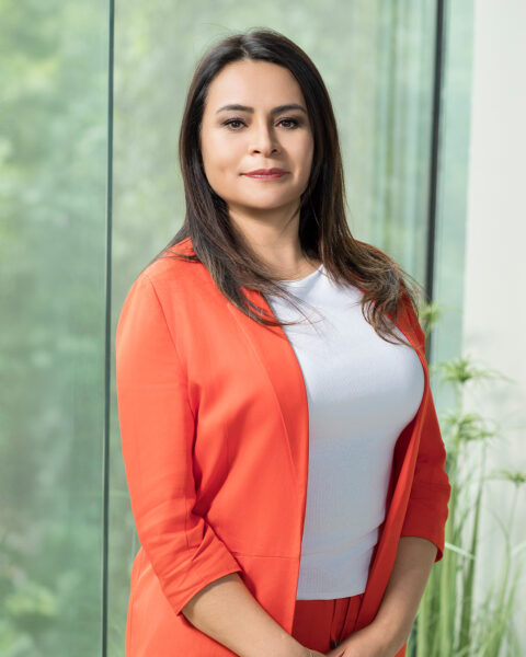 sesiones fotográficas para empresas Vitacura Santiago